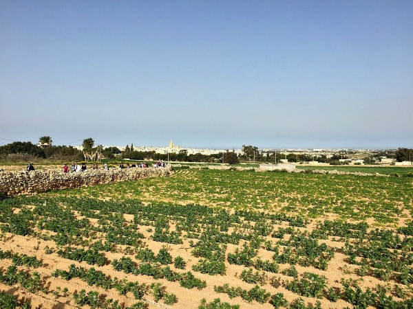 fawwara hike malta