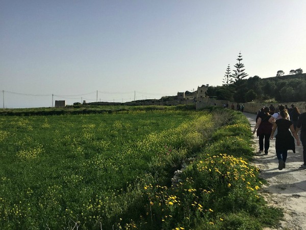 fawwara hike malta