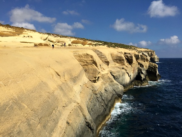 nature around xlendi tower in gozo