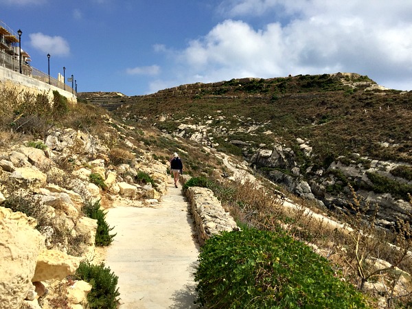 nature around xlendi tower in gozo