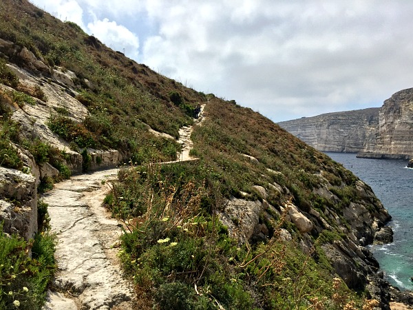 nature around xlendi tower in gozo