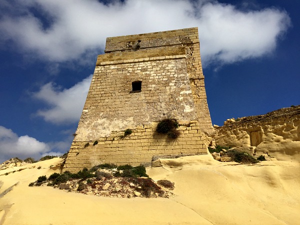 nature around xlendi tower in gozo