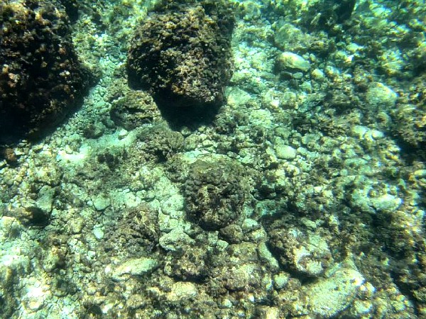 coral lagoon malta kayak