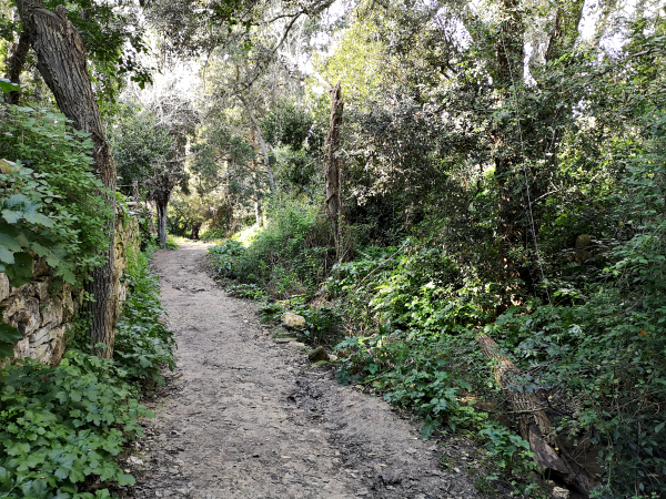 buskett gardens malta