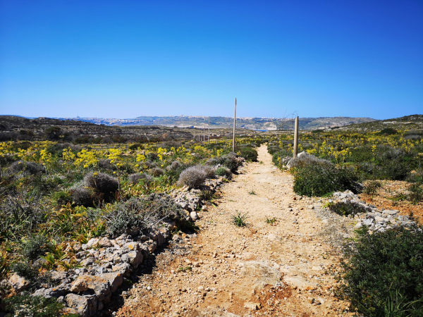 malta comino trip