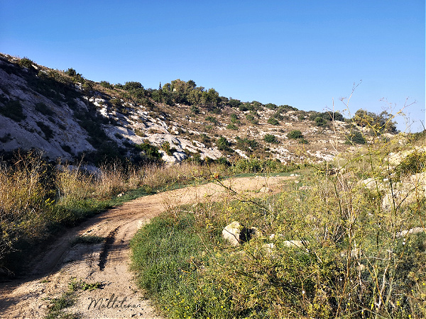 wied qirda qormi