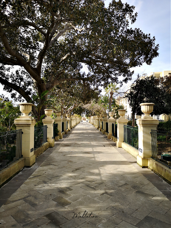 argotti botanic gardens floriana malta